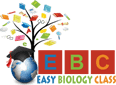 easybiologyclass Logo