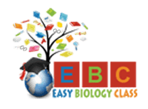 easybiologyclass, Easybiologyclass, EBC, ebc