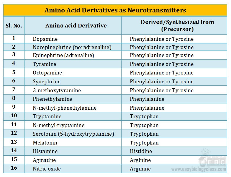 neurotransmitters derived from amino acids
