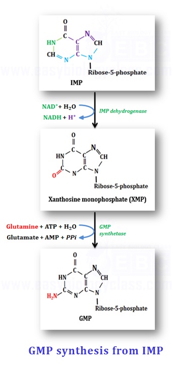 Guanine synthesis