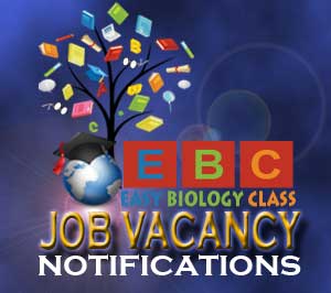 Job opportunities in biology life sciences