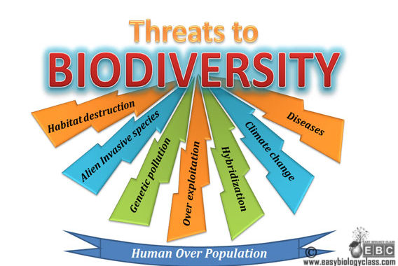 Causes of biodiversity loss degradation