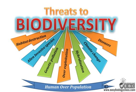 Causes of biodiversity loss degradation