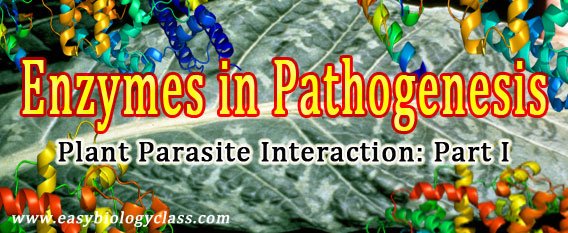 Host Parasite Interactions