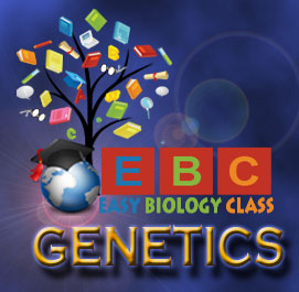 Genetics Online Tutorials and Lectures