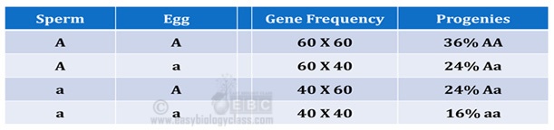 Gene Frequency and Genotype Frequency