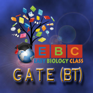 GATE Biotechnology