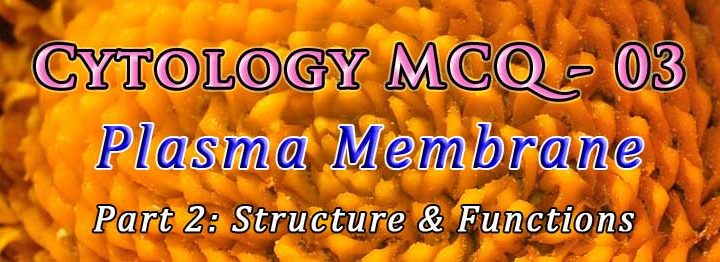 mcq on plasma membrane