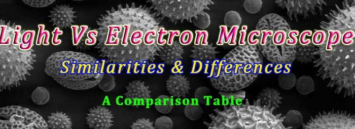 difference between light and electron microscope