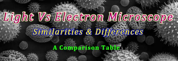 difference between light and electron microscope