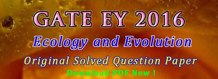 gate ey 2016 answer key