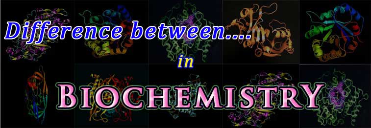 biochemistry comparison topics