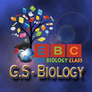 GS Biology Previous Papers Answer key