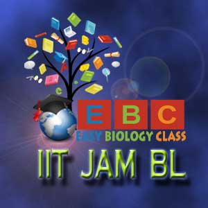 how to qualify jam bl exam