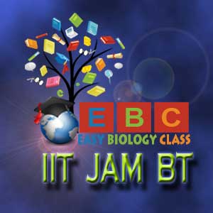 how to qualify IIT JAM BT?