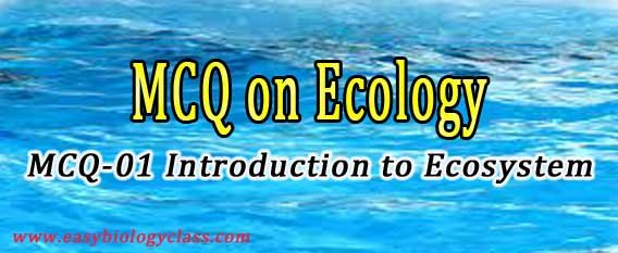 Ecology Quiz