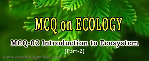 environmental science test questions and answers