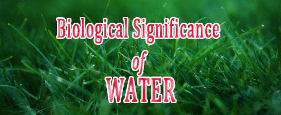 biological importance of water