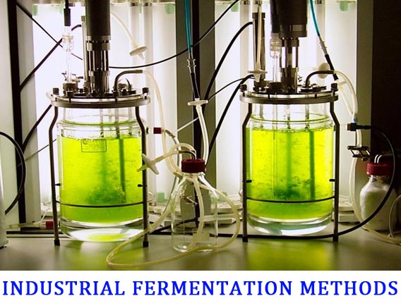 Types of Fermentation Process in Industrial Microbiology