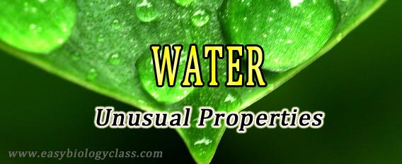 physical chemical and biological properties of water
