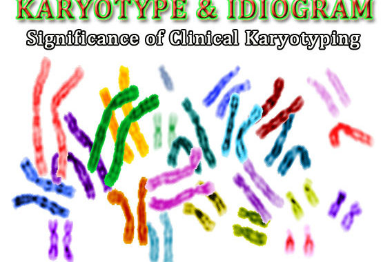 what is karyotyping