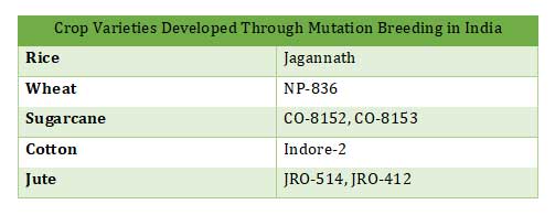 mutation breeding in india