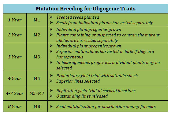 steps in mutation breeding