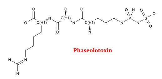 Tabtoxin Structure Role of Toxins in Plant Pathogenesis | EasyBiologyClass
