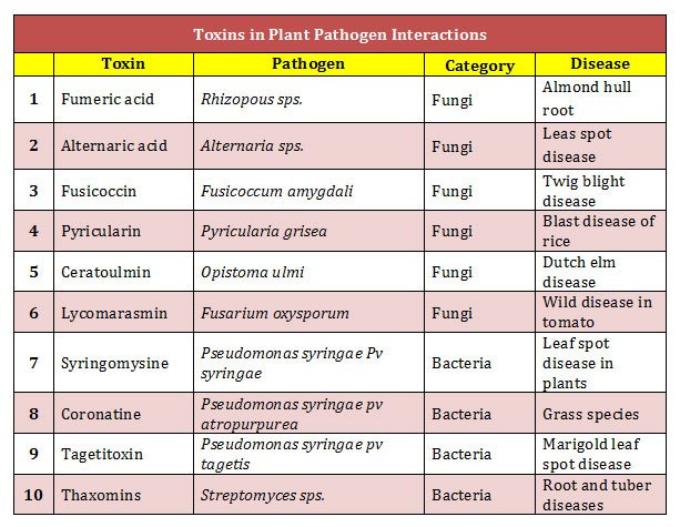 toxins in pathogenesis example