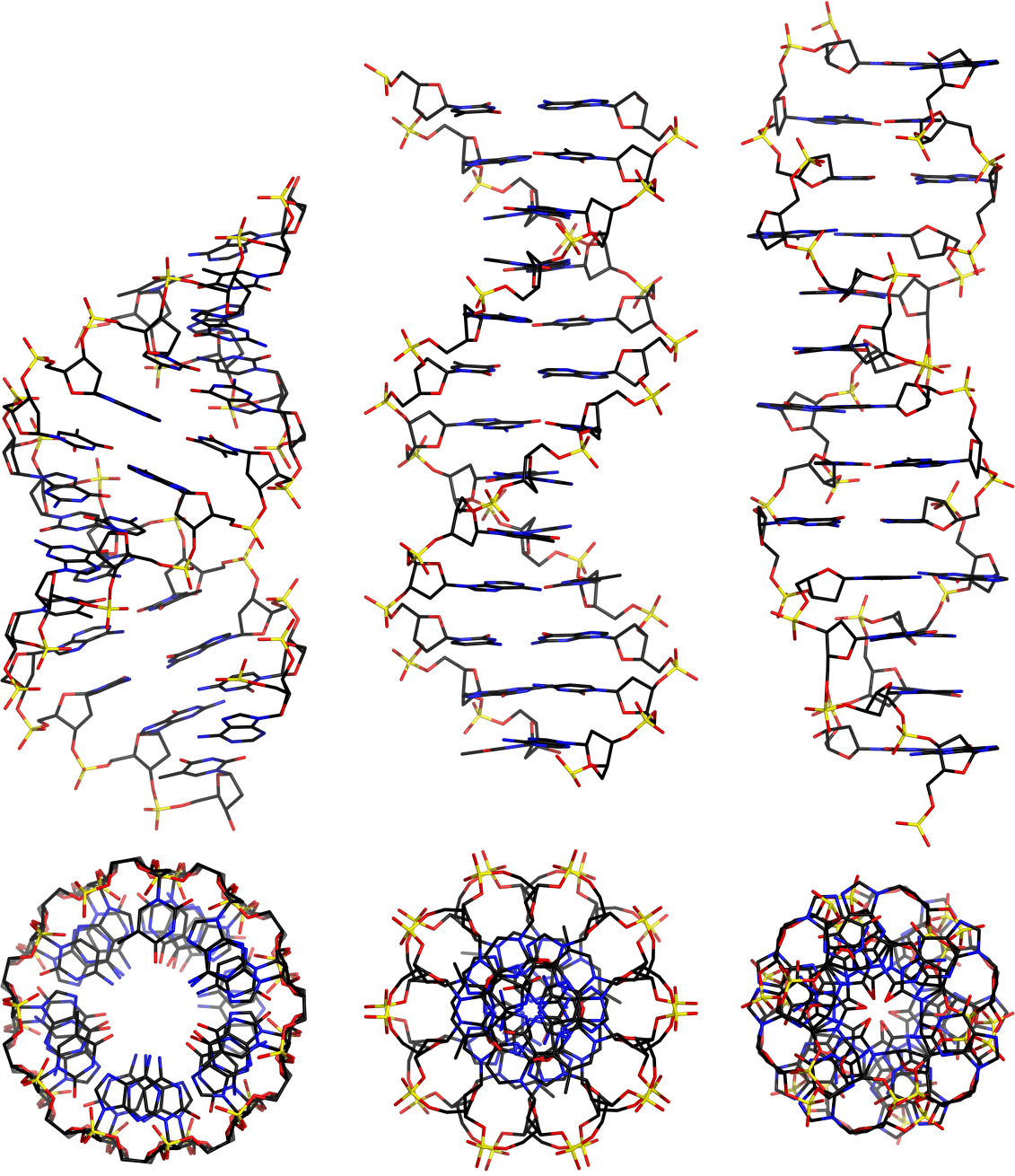 Different types of DNA