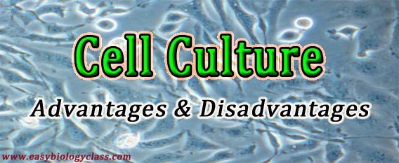 Parts Of Animal Cell And Their Functions Slideshare - Cells Animal Cell Cell Structure Cell Function Editable Tpt / Check spelling or type a new query.