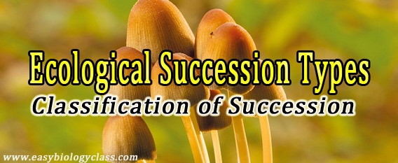 Types of Ecological Succession