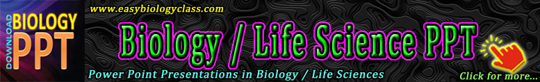 Life Sciences PPT