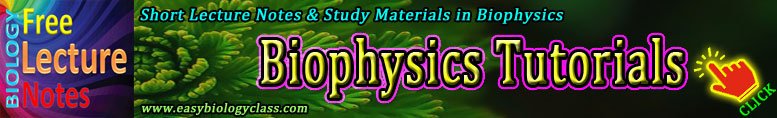 Biophysics Notes PDF