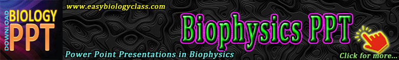Biiophysics ppt