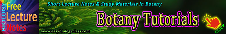 Botany Notes