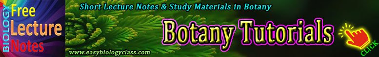 Botany Notes