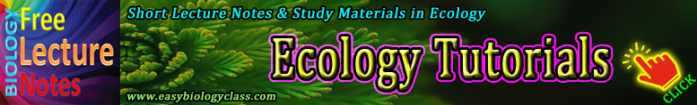 Ecology and Environmental Science Notes