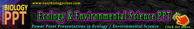 Ecology, Environmental Science, Biodiversity PPT