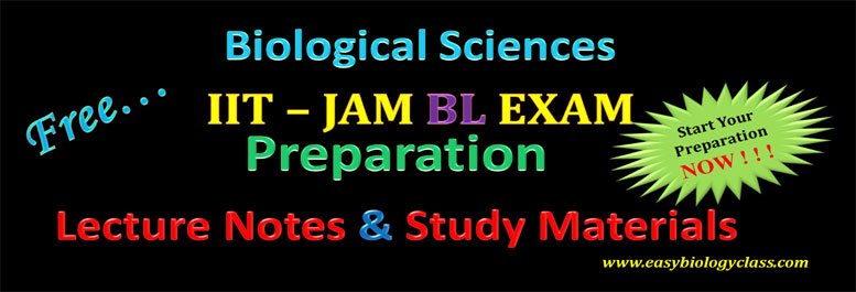 JAM BL Preparation Guidelines