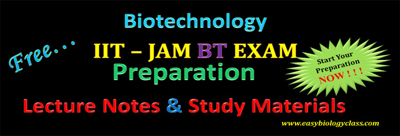 How to Prepare IIT JAM BT