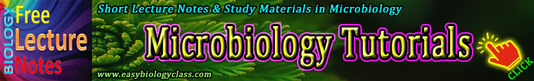 Microbiology Notes and Bacteriology Notes