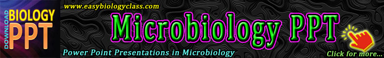 Microbiology PPT