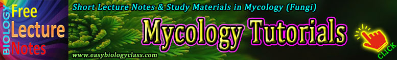 Mycology Short Notes