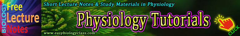 Physiology-Lecture-Notes | Easy Biology Class