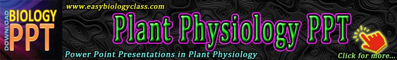 Plant Physiology PPT