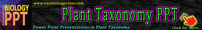 Plant Taxonomy PPT