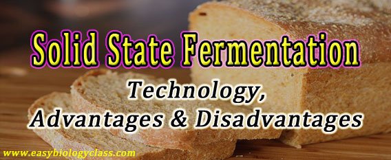 Solid-Substrate-Fermentation-SSF