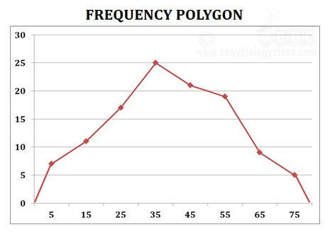 Polygon Pie Chart