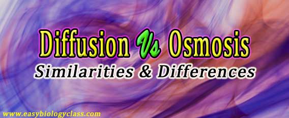 Difference between Osmosis and Diffusion
